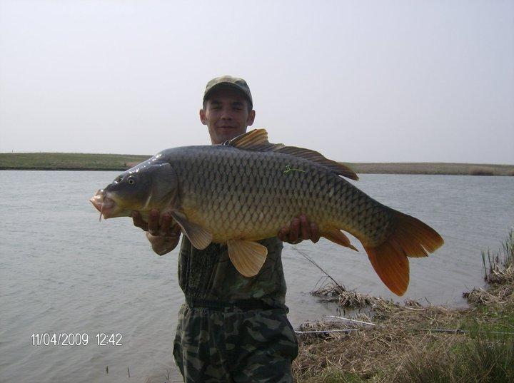 hobaia 2009 - 1800731669058466905587757411n.jpg